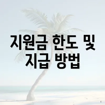 지원금 한도 및 지급 방법