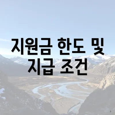 지원금 한도 및 지급 조건