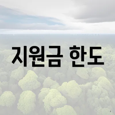 지원금 한도
