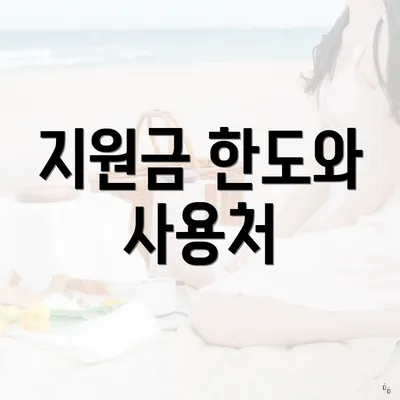 지원금 한도와 사용처