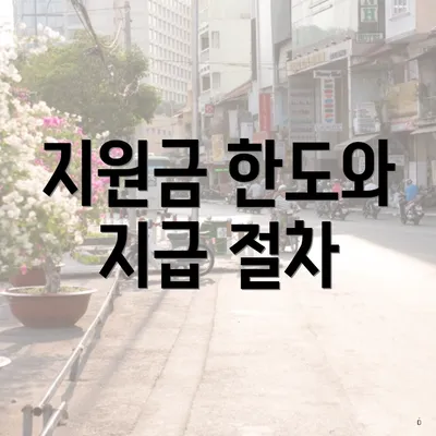 지원금 한도와 지급 절차