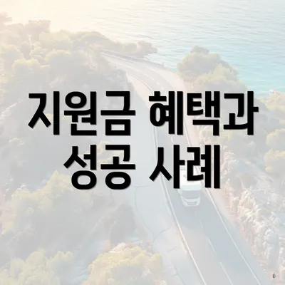 지원금 혜택과 성공 사례