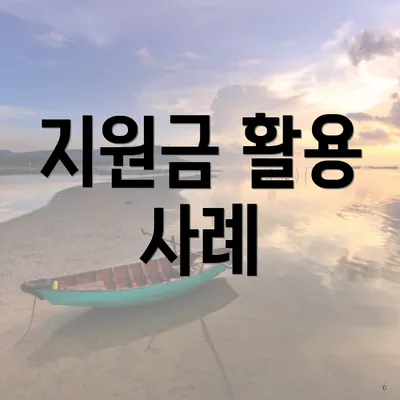 지원금 활용 사례