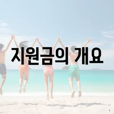 지원금의 개요