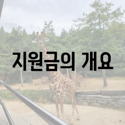 지원금의 개요