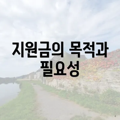 지원금의 목적과 필요성