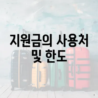 지원금의 사용처 및 한도