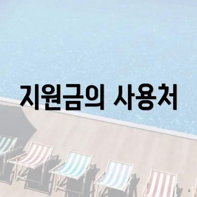 지원금의 사용처