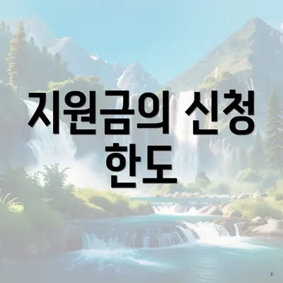지원금의 신청 한도
