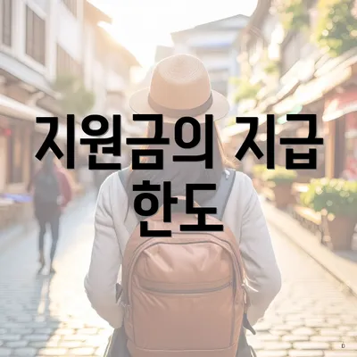 지원금의 지급 한도