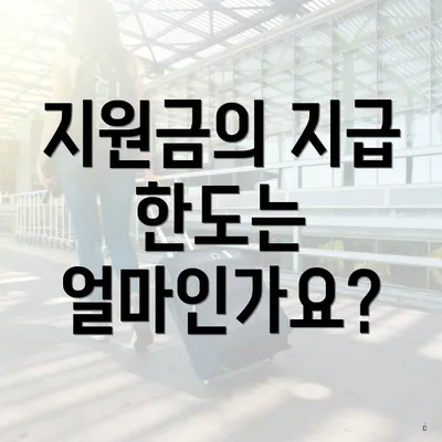 지원금의 지급 한도는 얼마인가요?