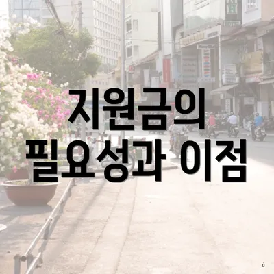 지원금의 필요성과 이점