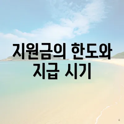 지원금의 한도와 지급 시기