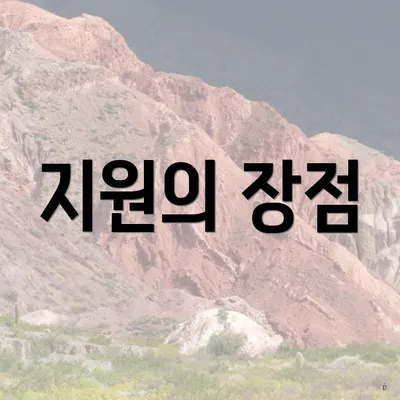지원의 장점