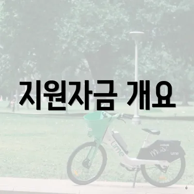 지원자금 개요