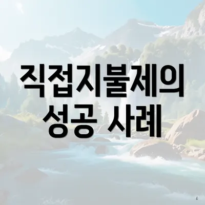 직접지불제의 성공 사례