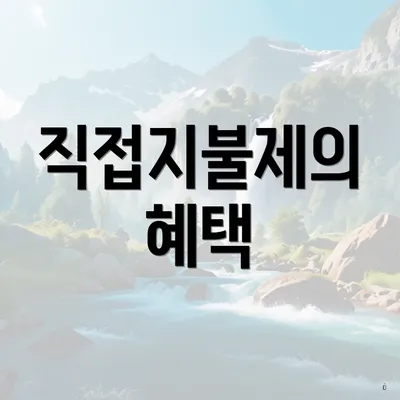 직접지불제의 혜택
