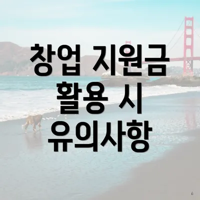 창업 지원금 활용 시 유의사항