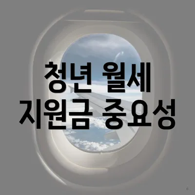 청년 월세 지원금 중요성