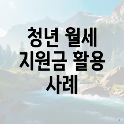 청년 월세 지원금 활용 사례