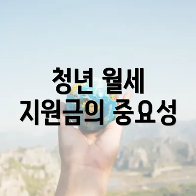 청년 월세 지원금의 중요성