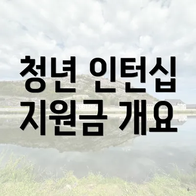 청년 인턴십 지원금 개요