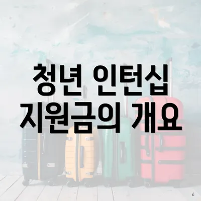 청년 인턴십 지원금의 개요