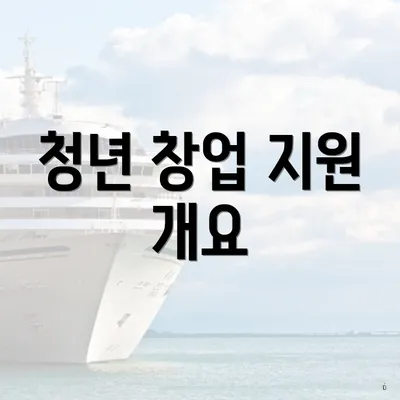 청년 창업 지원 개요