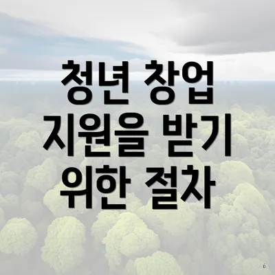 청년 창업 지원을 받기 위한 절차