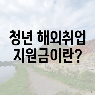 청년 해외취업 지원금이란?