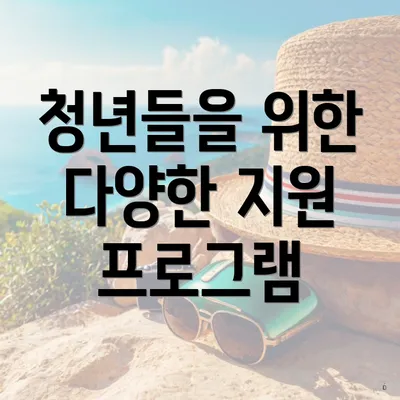 청년들을 위한 다양한 지원 프로그램