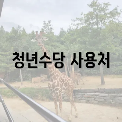 청년수당 사용처