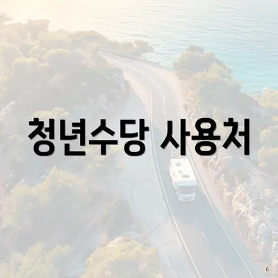 청년수당 사용처