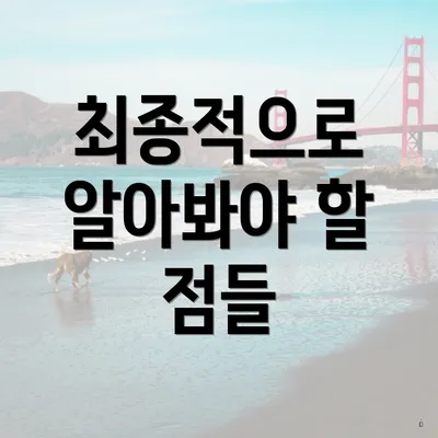 최종적으로 알아봐야 할 점들