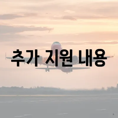 추가 지원 내용