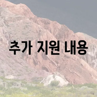 추가 지원 내용