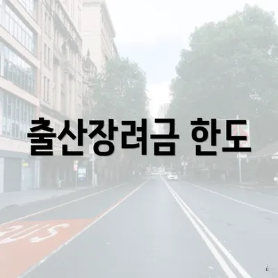 출산장려금 한도