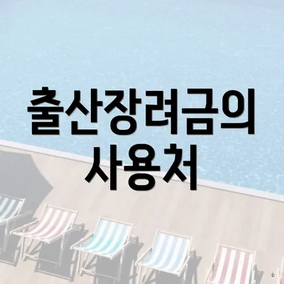 출산장려금의 사용처
