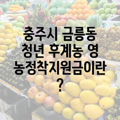 충주시 금릉동 청년 후계농 영농정착지원금이란?