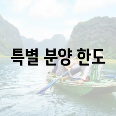 특별 분양 한도