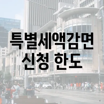 특별세액감면 신청 한도