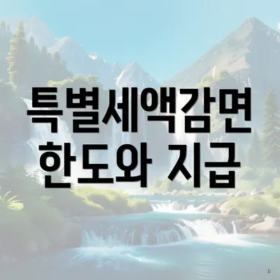 특별세액감면 한도와 지급