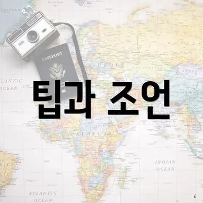 팁과 조언
