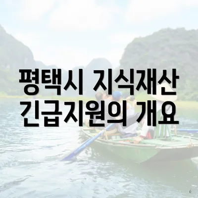 평택시 지식재산 긴급지원의 개요