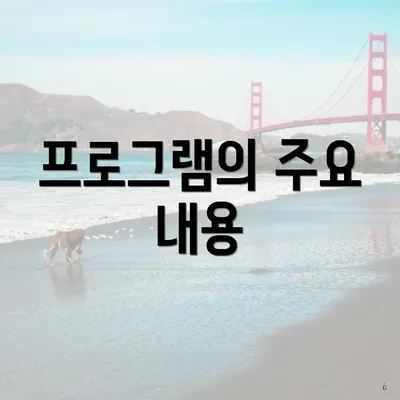 프로그램의 주요 내용