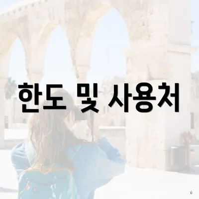 한도 및 사용처