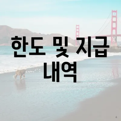 한도 및 지급 내역