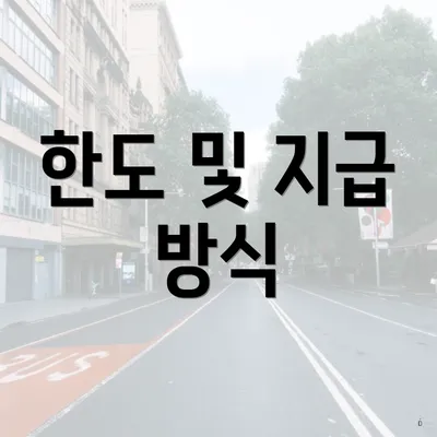 한도 및 지급 방식