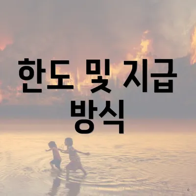 한도 및 지급 방식