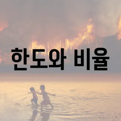한도와 비율